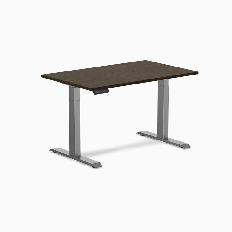 Desky Single Sit Stand Desk