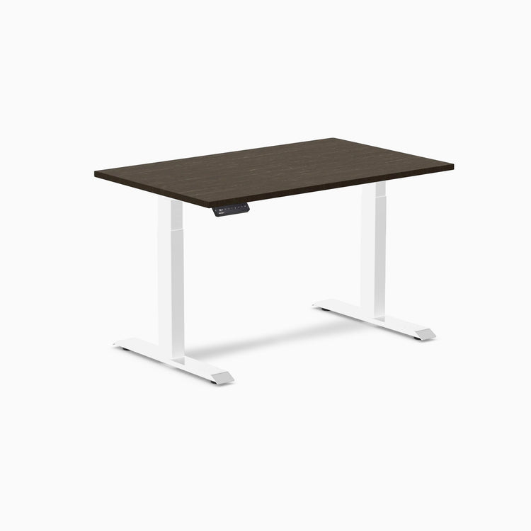 Desky Single Sit Stand Desk