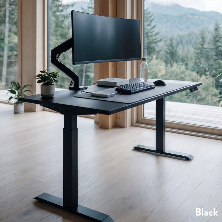 Desky Single Sit Stand Desk