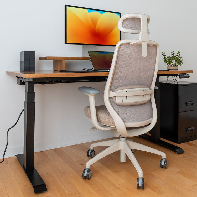 Chaise de bureau ergonomique Desky Coilflex
