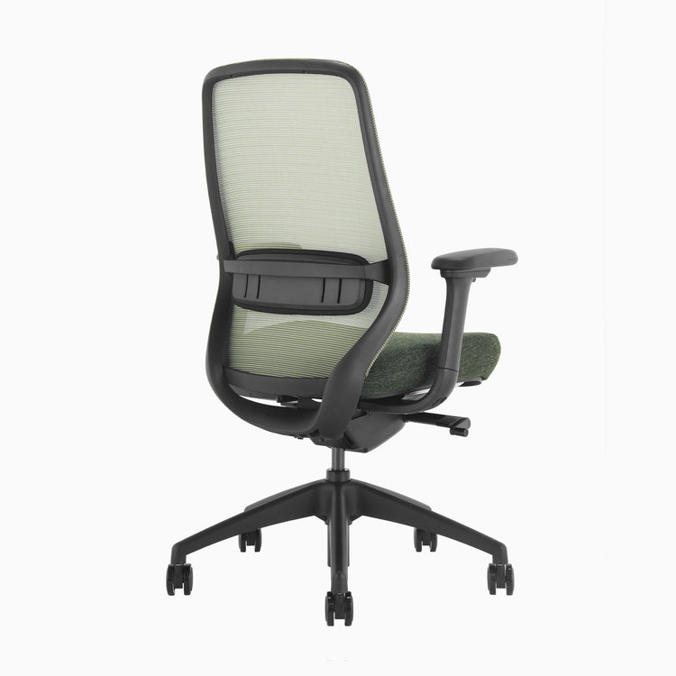 Chaise de bureau ergonomique Desky Coilflex
