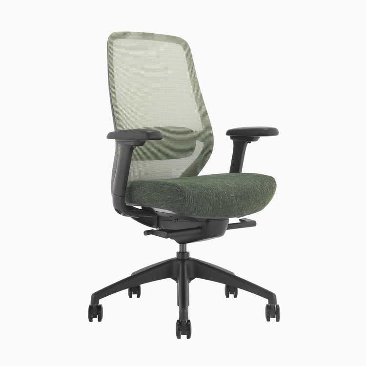 Chaise de bureau ergonomique Desky Coilflex