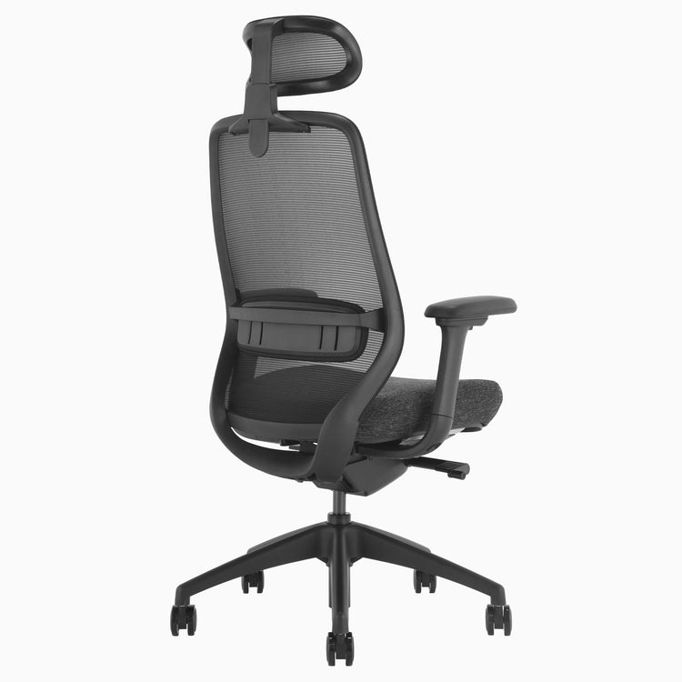 Chaise de bureau ergonomique Desky Coilflex