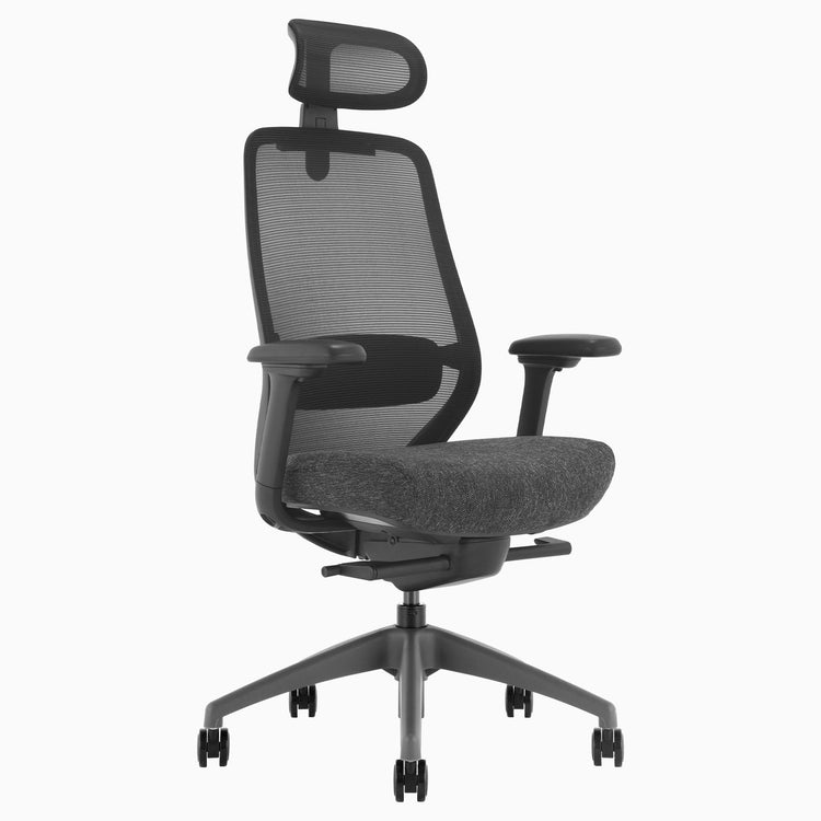 Chaise de bureau ergonomique Desky Coilflex