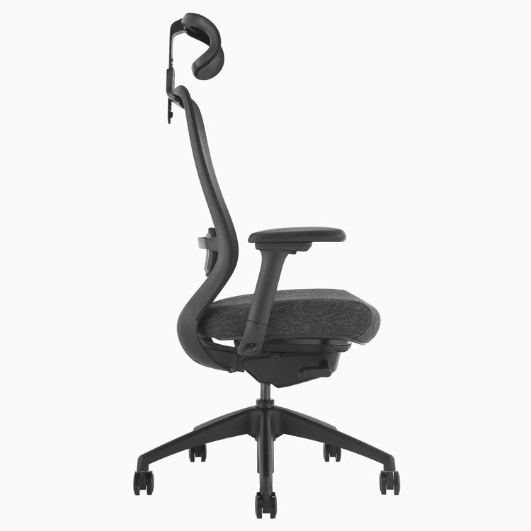 Chaise de bureau ergonomique Desky Coilflex