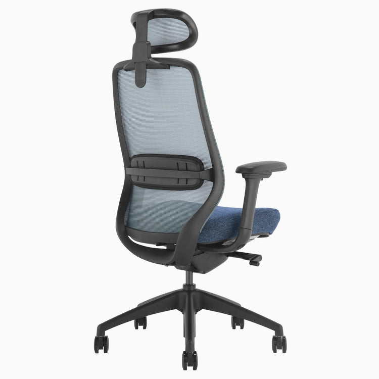 Chaise de bureau ergonomique Desky Coilflex