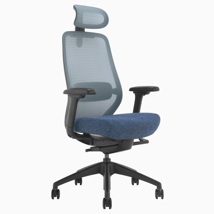 Chaise de bureau ergonomique Desky Coilflex