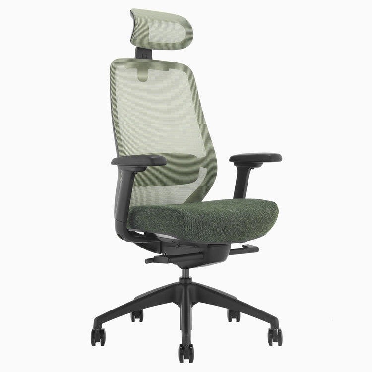 Chaise de bureau ergonomique Desky Coilflex