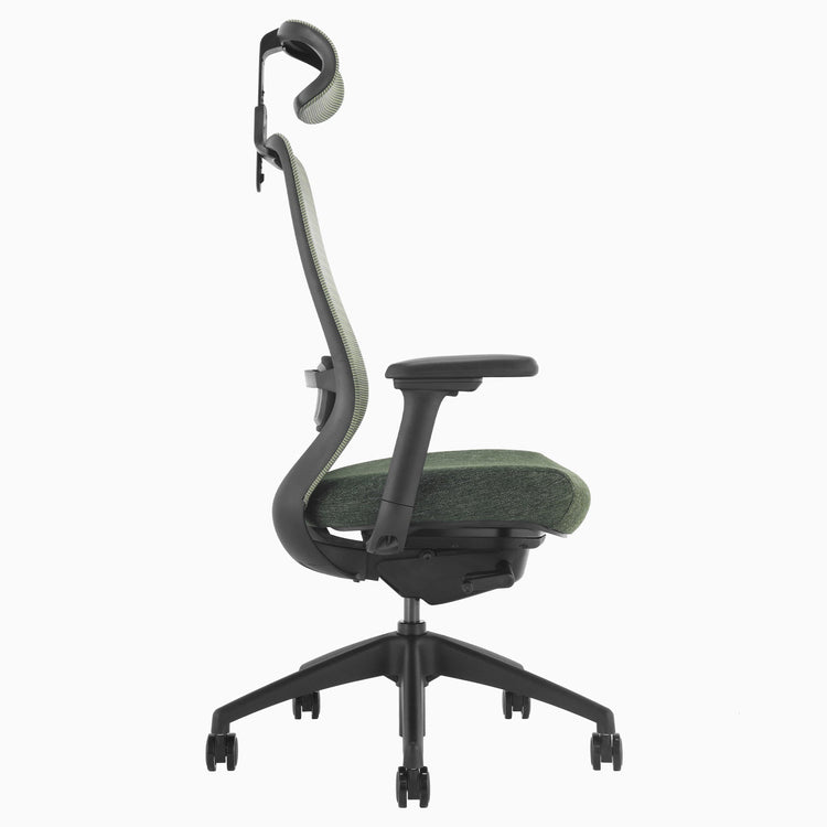 Chaise de bureau ergonomique Desky Coilflex