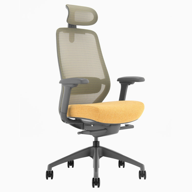 Chaise de bureau ergonomique Desky Coilflex