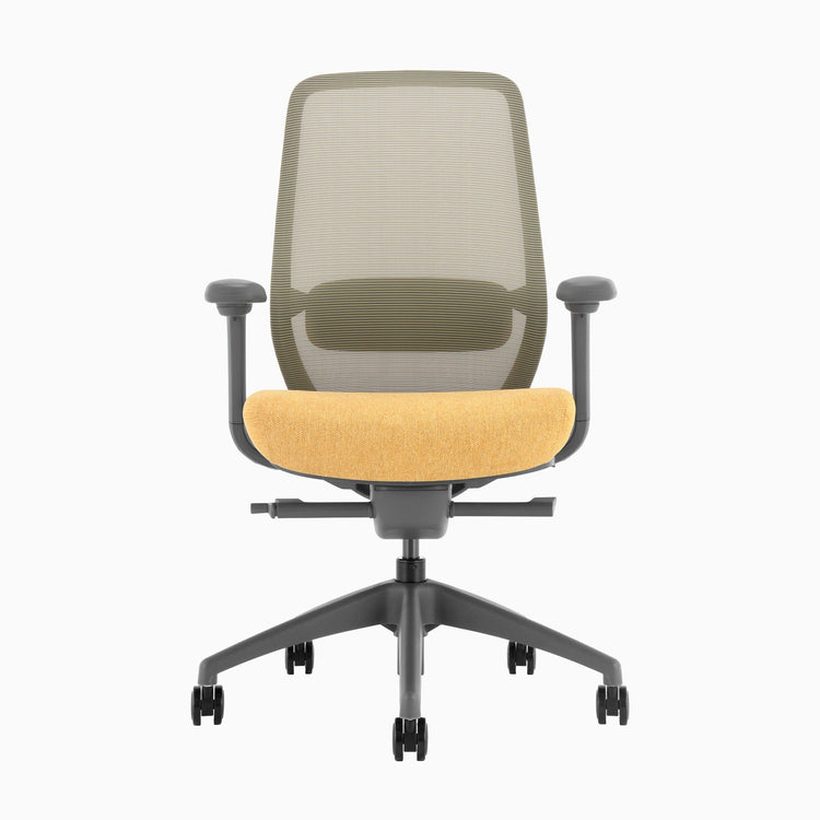 Chaise de bureau ergonomique Desky Coilflex