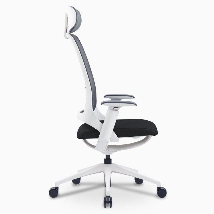 Chaise de bureau ergonomique Desky Pulse
