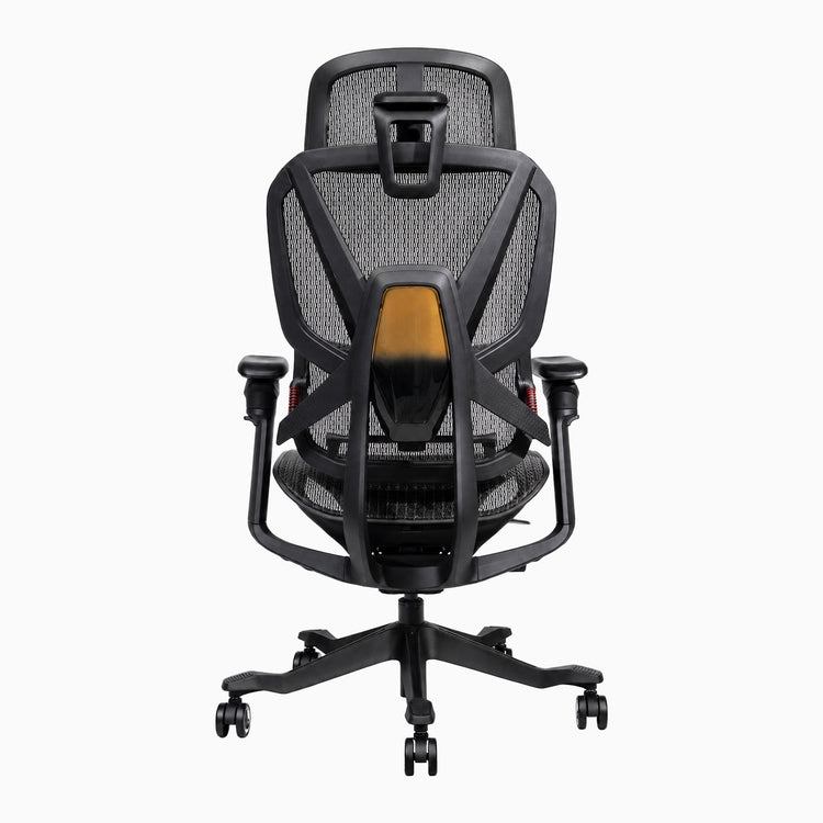 Chaise de bureau ergonomique Desky Contourra, vue de dos