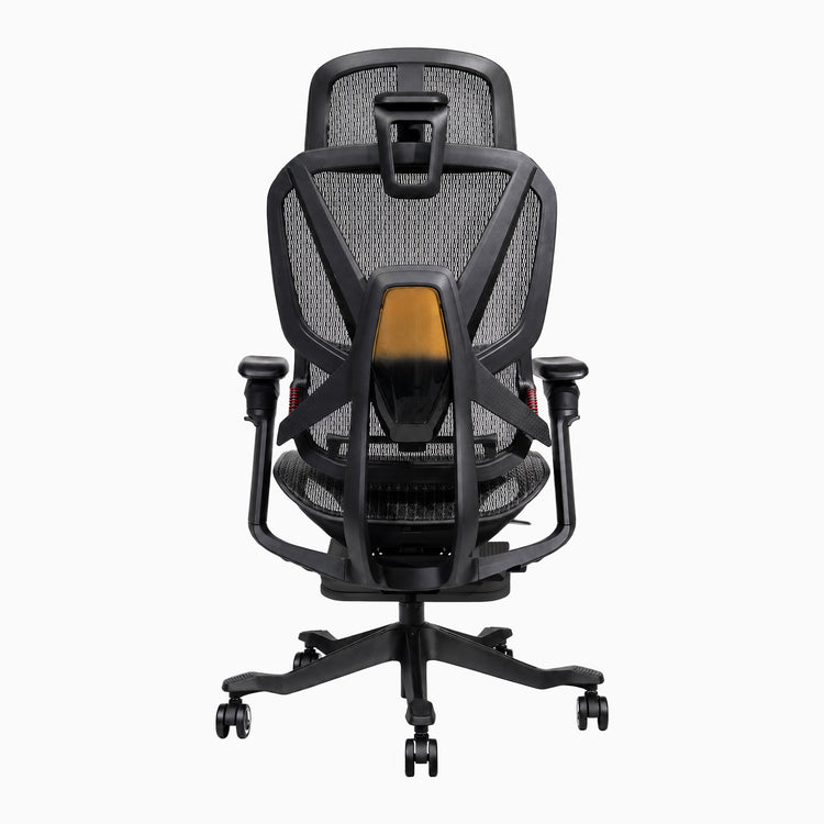 Chaise de bureau ergonomique Desky Contourra, vue de dos
