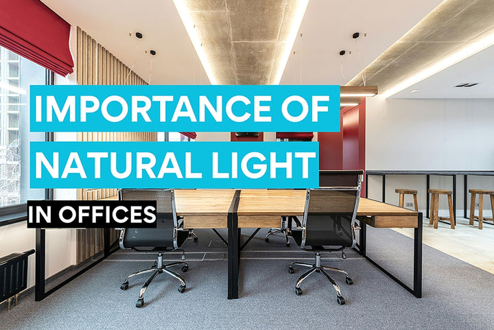 l'importance de la lumière naturelle dans les bureaux