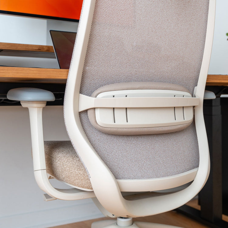 Chaise de bureau ergonomique Desky Coilflex