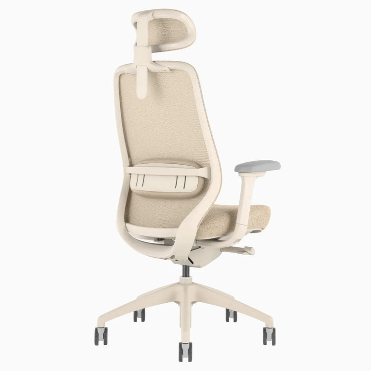 Chaise de bureau ergonomique Desky Coilflex