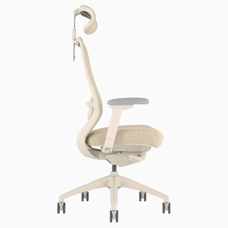 Chaise de bureau ergonomique Desky Coilflex
