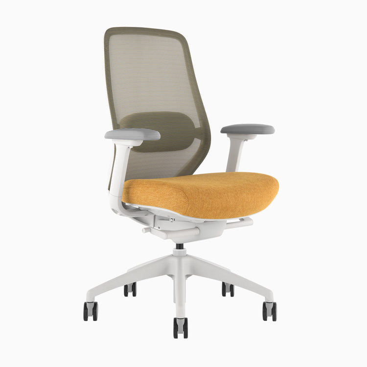 Chaise de bureau ergonomique Desky Coilflex