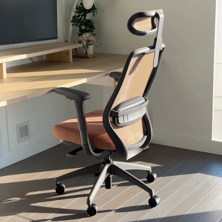 Chaise de bureau ergonomique Desky Coilflex