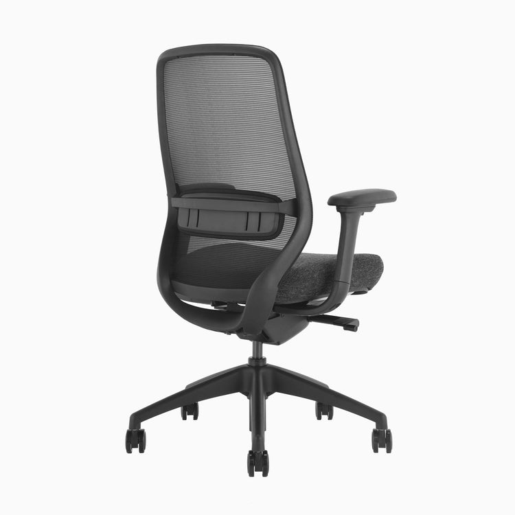 Chaise de bureau ergonomique Desky Coilflex