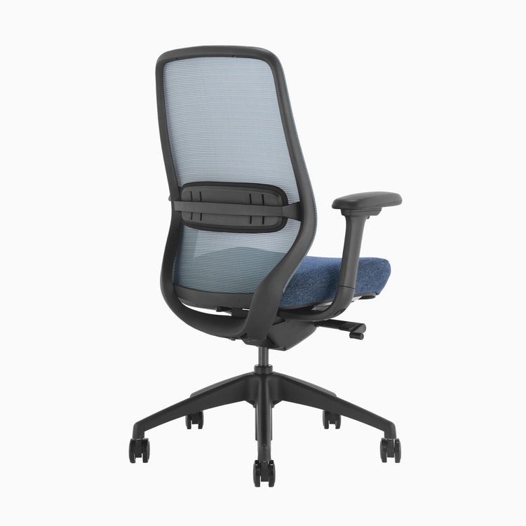 Chaise de bureau ergonomique Desky Coilflex