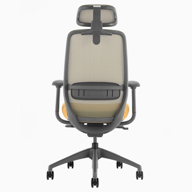 Chaise de bureau ergonomique Desky Coilflex