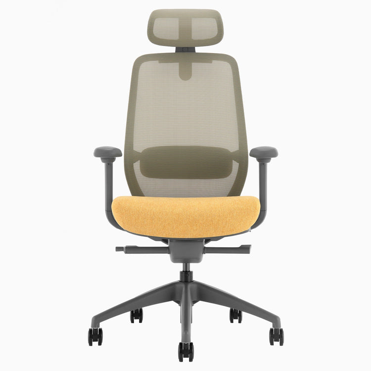 Chaise de bureau ergonomique Desky Coilflex
