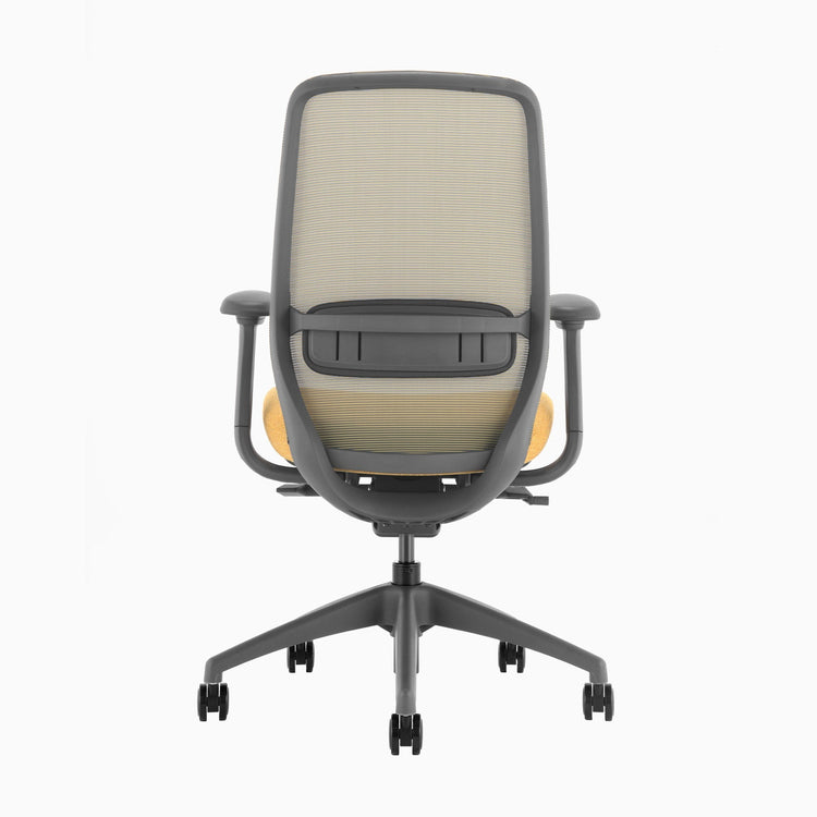 Chaise de bureau ergonomique Desky Coilflex