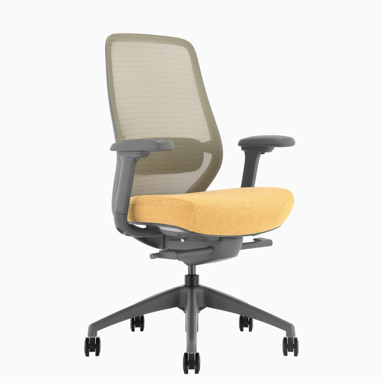Chaise de bureau ergonomique Desky Coilflex