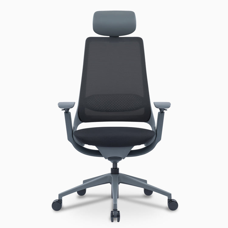 Chaise de bureau ergonomique Desky Pulse