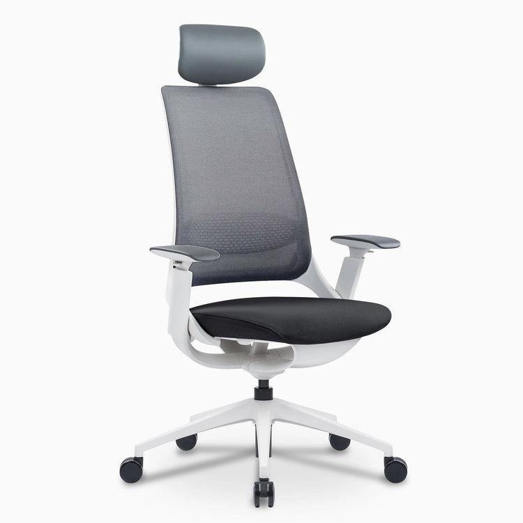Chaise de bureau ergonomique Desky Pulse