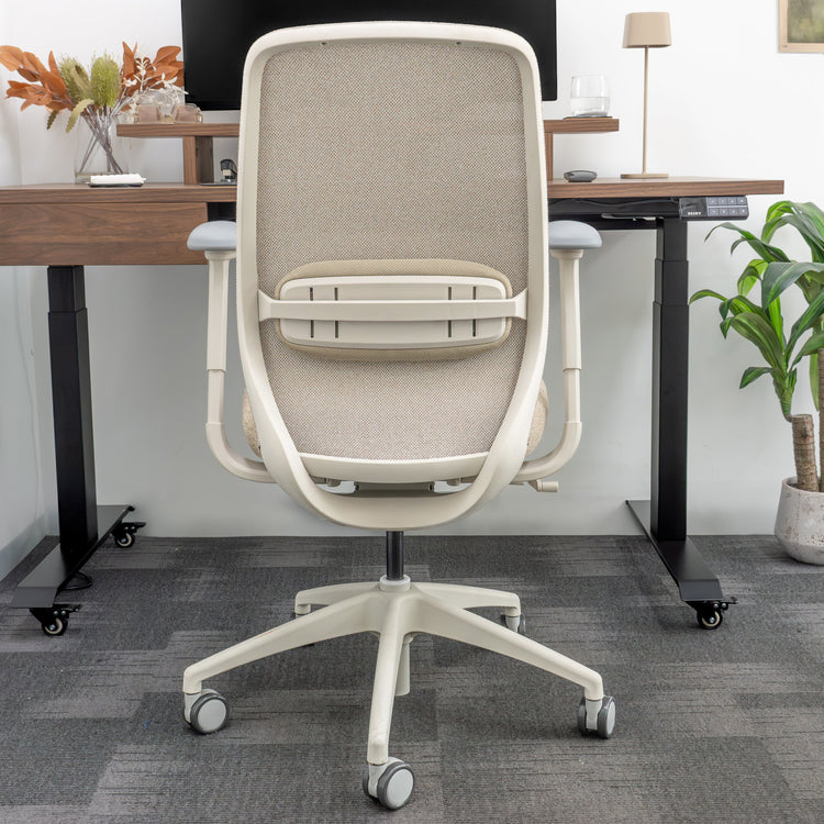 Chaise de bureau ergonomique Desky Coilflex